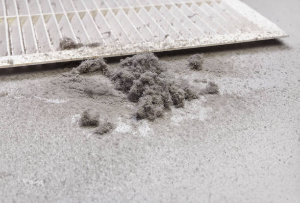 Best Residential Air Duct Cleaning  in Nashville, IN