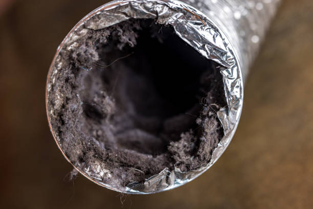 Best Affordable HVAC Duct Cleaning  in Nashville, IN
