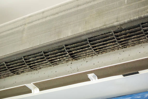 Best HVAC Maintenance and Cleaning  in Nashville, IN